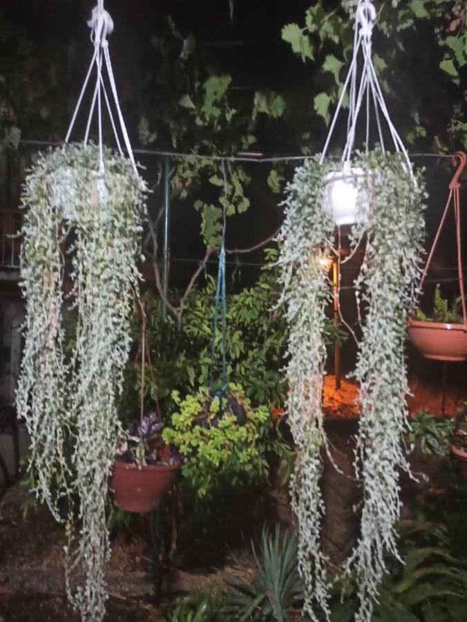 Apartmani Mislav 슬라티네 외부 사진